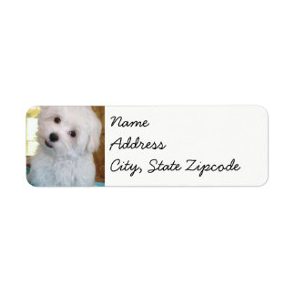 maltese étiquettes de l'autocollant Puppy
