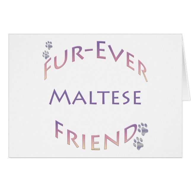 Maltese Furever (Front Horizontal)
