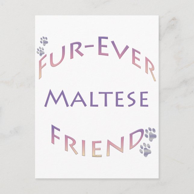 Maltese Furever Postcard (Front)