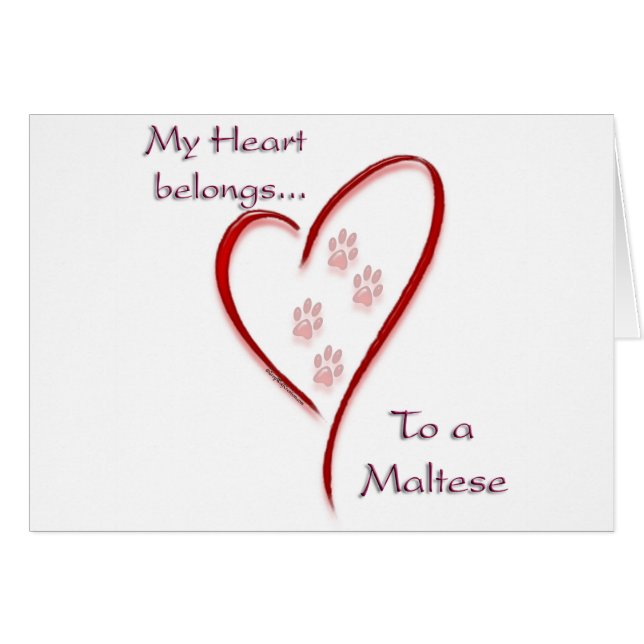 Maltese Heart Belongs (Front Horizontal)