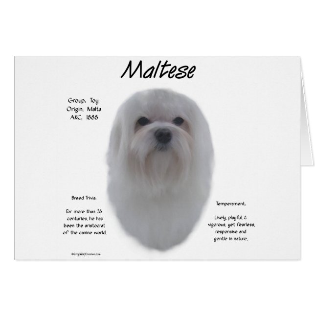 Maltese History Design (Front Horizontal)