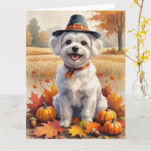 Maltese In Autumn Leaves Thanksgiving Art Card