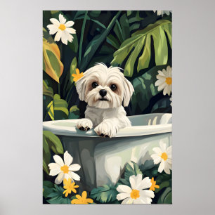 Maltese In Bathtub Poster, Funny Dog Poster