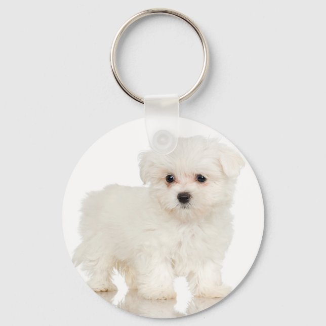 Maltese Keychain (Front)