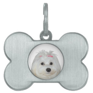 Maltese Love Cute Dog Lili Pet ID Tag