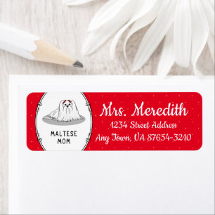 Maltese Mom - Cute Dog Breed