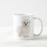 Maltese Mug<br><div class="desc">Purchased artwork.</div>