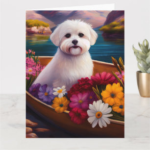 Maltese on a Paddle: A Scenic Adventure Card
