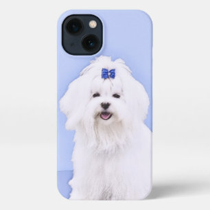 Maltese Painting - Cute Original Dog Art iPhone 13 Case