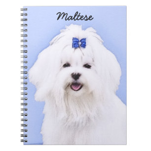 Maltese Painting - Cute Original Dog Art Notebook