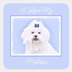Maltese Painting - Cute Original Dog Art Square St Sticker
