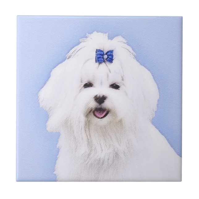 Maltese Painting - Cute Original Dog Art Tile (Front)