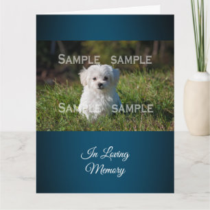 Maltese poodle in grass photo Personalize Card