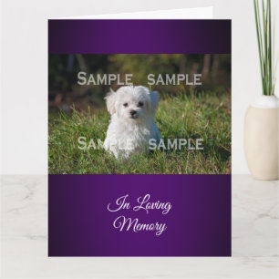 Maltese poodle in grass photo Personalize Card