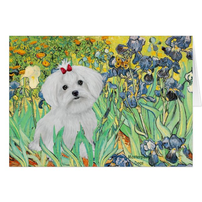 MALTESE pup - Irises (Front Horizontal)