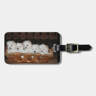 Maltese, Puppies, Basket, "Five Puppies", White Luggage Tag