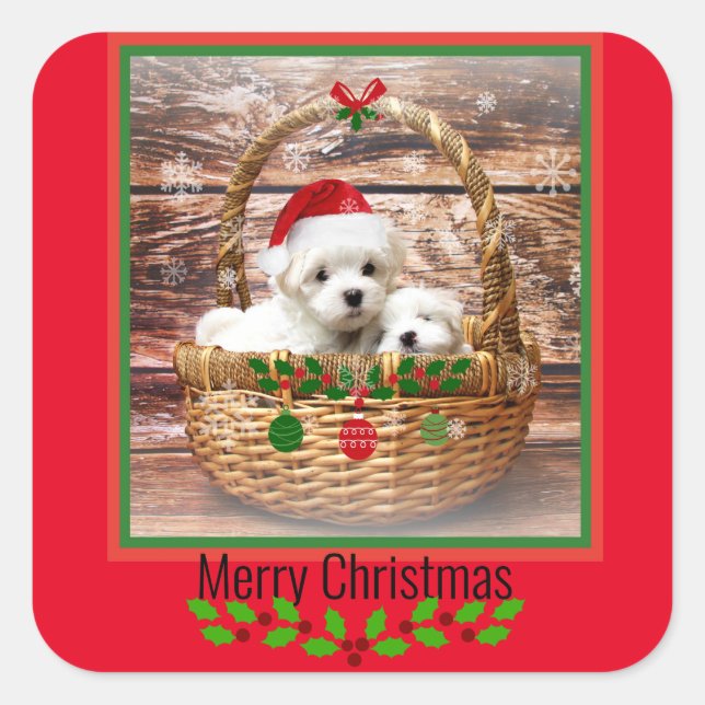 Maltese Puppies Christmas design Square Sticker (Front)