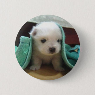 maltese puppy 2 inch round button