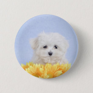 Maltese puppy 2 inch round button