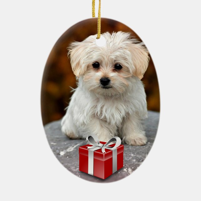 Maltese Puppy at Christmas Ceramic Ornament (Back)