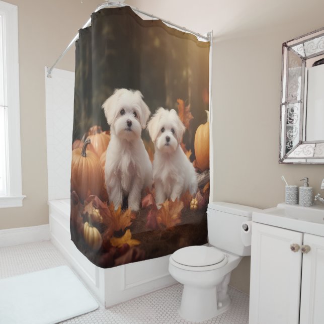 Maltese Puppy Autumn Delight Pumpkin  (In Situ)