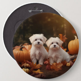 Maltese Puppy Autumn Delight Pumpkin  6 Inch Round Button