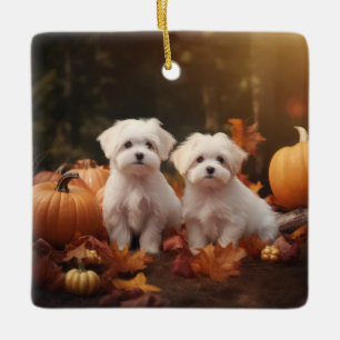 Maltese Puppy Autumn Delight Pumpkin  Ceramic Ornament