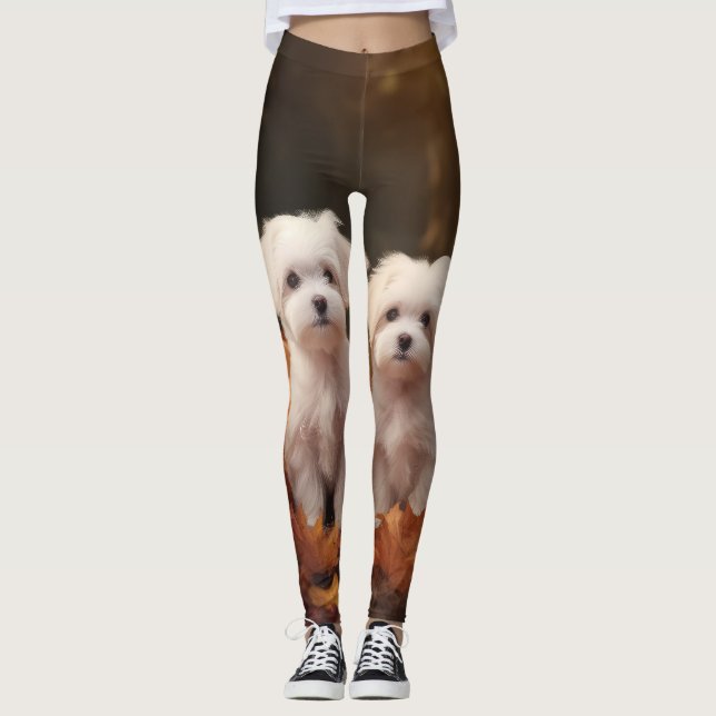 Maltese Puppy Autumn Delight Pumpkin  Leggings (Front)