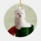 Maltese puppy Christmas