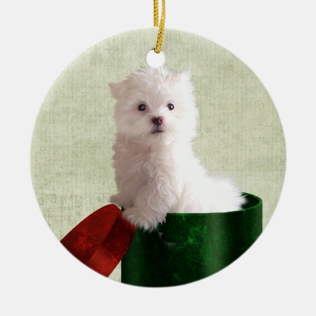 Maltese puppy Christmas Ceramic Ornament (Front)