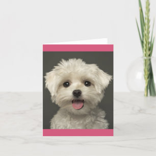 Maltese Puppy Dog Blank Note Card