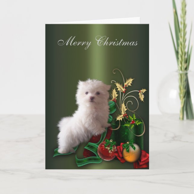 Maltese Puppy Dog Christmas Holiday Card (Front)