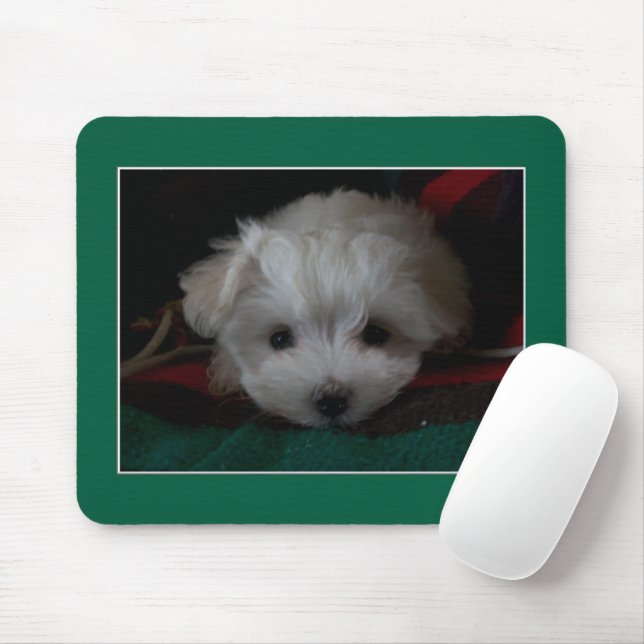 Maltese Puppy Eyes Mouse Pad (With Mouse)