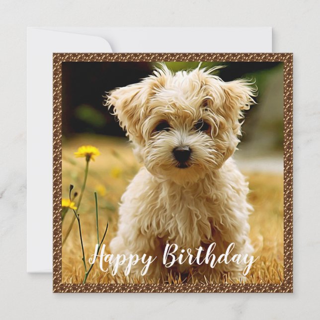 Maltese Puppy Happy Birthday Card (Front)