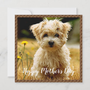 Maltese Puppy Happy Mother's Day Card