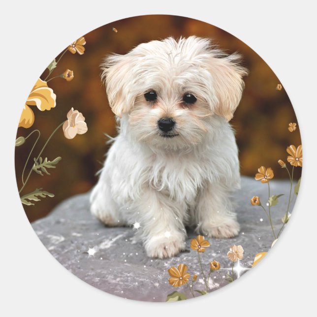 Maltese Puppy, oh so cute, Classic Round Sticker (Front)