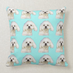 Maltese puppy on blue throw pillow