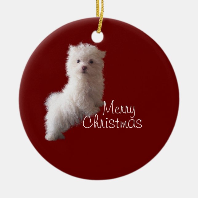 Maltese Puppy Red Ornament (Front)