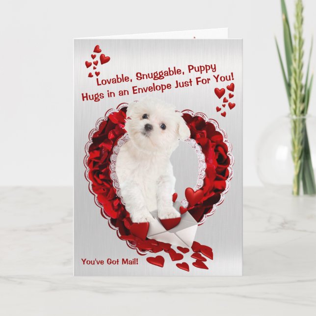 Maltese Puppy - Super Cute You've Got Mail! Holiday Card (Front)