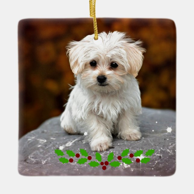 Maltese Puppy with Christmas holly Ceramic Ornament (Front)