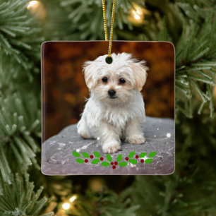 Maltese Puppy with Christmas holly Ceramic Ornament
