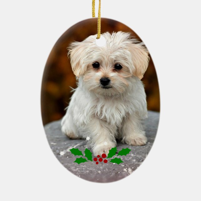 Maltese Puppy with Christmas holly Ceramic Ornament (Back)