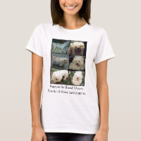 Maltese puppymill rescue