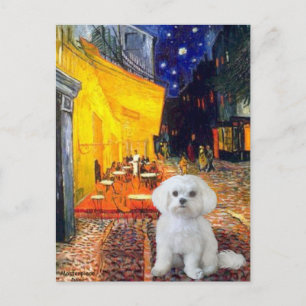 Maltese (R) - Terrace Cafe Postcard