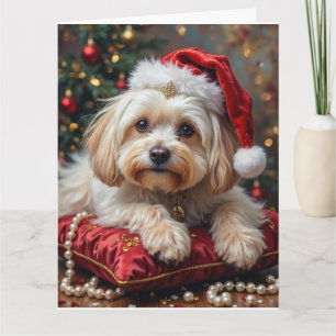 Maltese Royal Christmas Crimson Hat Card