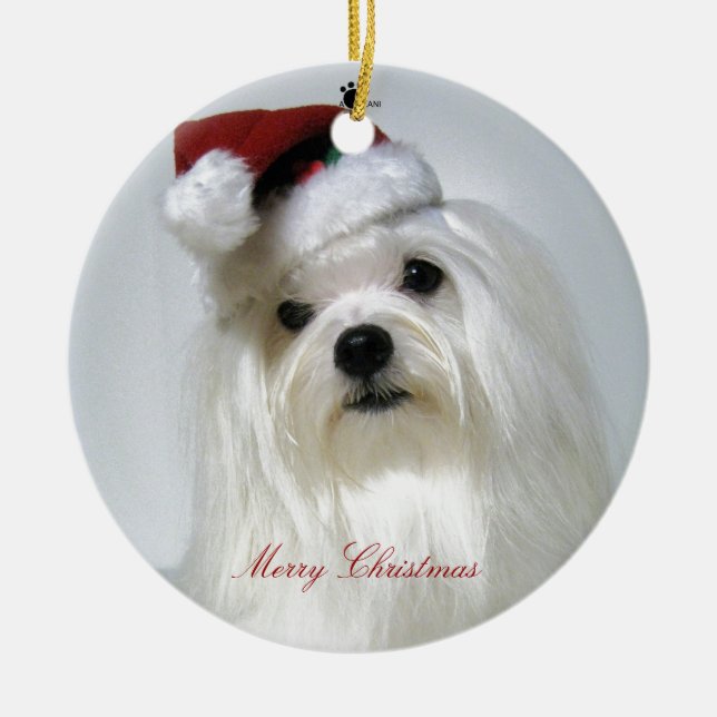 Maltese Santa Ornament (Front)
