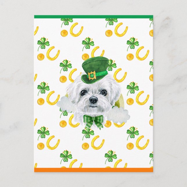 Maltese Shamrock St. Patricks Day Holiday Postcard (Front)