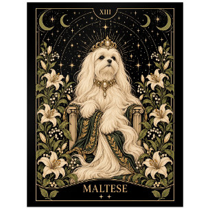 Maltese, Starlit Tarot Art Postcard