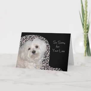 Maltese Sympathy Card - Blank Inside