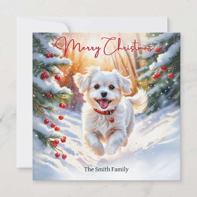 Maltese Terrier Dog In Winter Snow Merry Christmas Holiday Card (Front)